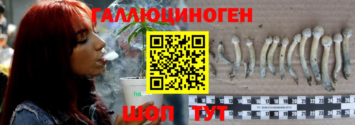 Галлюциногенные грибы ЛСД Ипатово