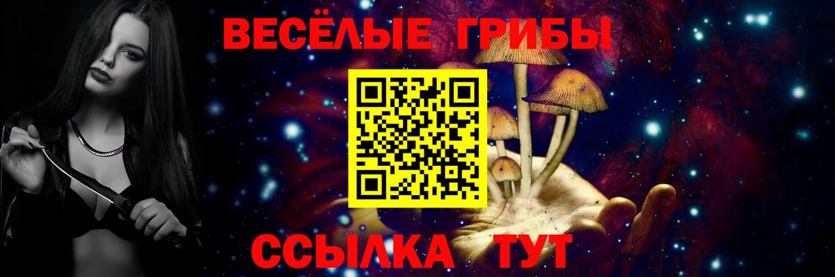 Ипатово  Псилоцибиновые грибы Psilocybine cubensis  купить   Вход с VPN 